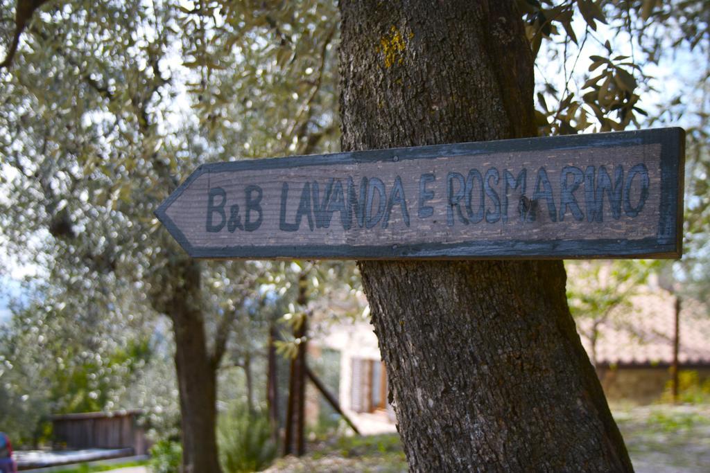 B&B Lavanda E Rosmarino Assisi Bagian luar foto