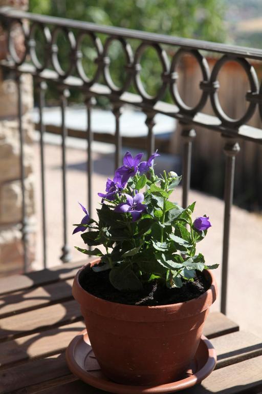 B&B Lavanda E Rosmarino Assisi Bagian luar foto